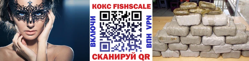 Cocaine Эквадор  дарк нет как зайти  Лодейное Поле 