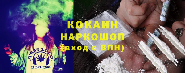 метадон Няндома