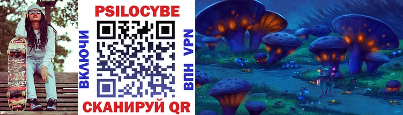 Псилоцибиновые грибы Psilocybe Лодейное Поле