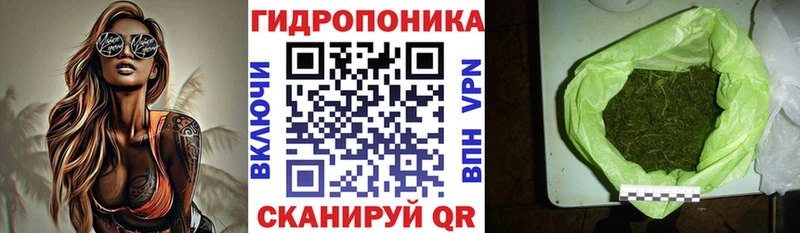 Марихуана VHQ  Лодейное Поле 
